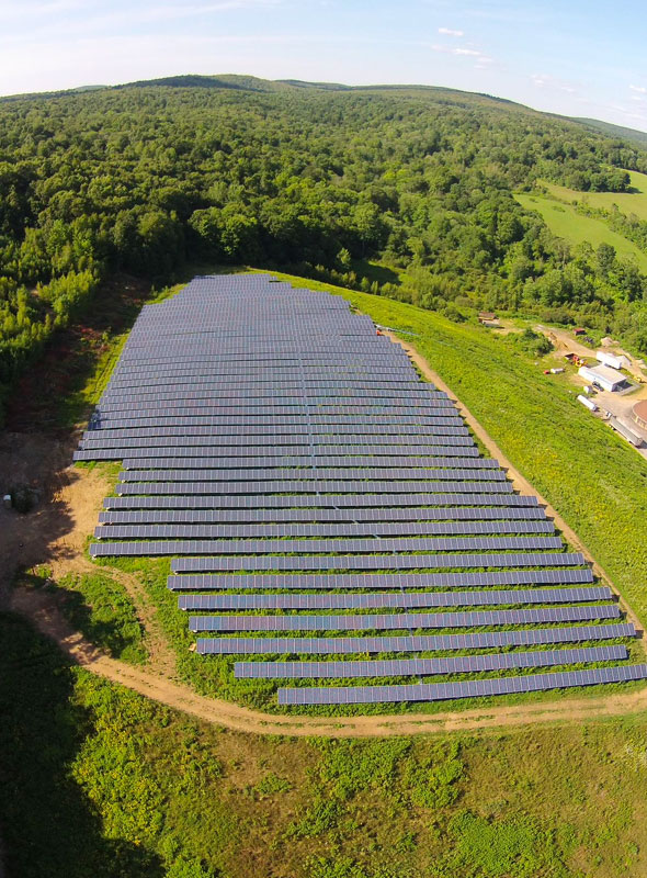 Stafford Solar Field Bird's Eye