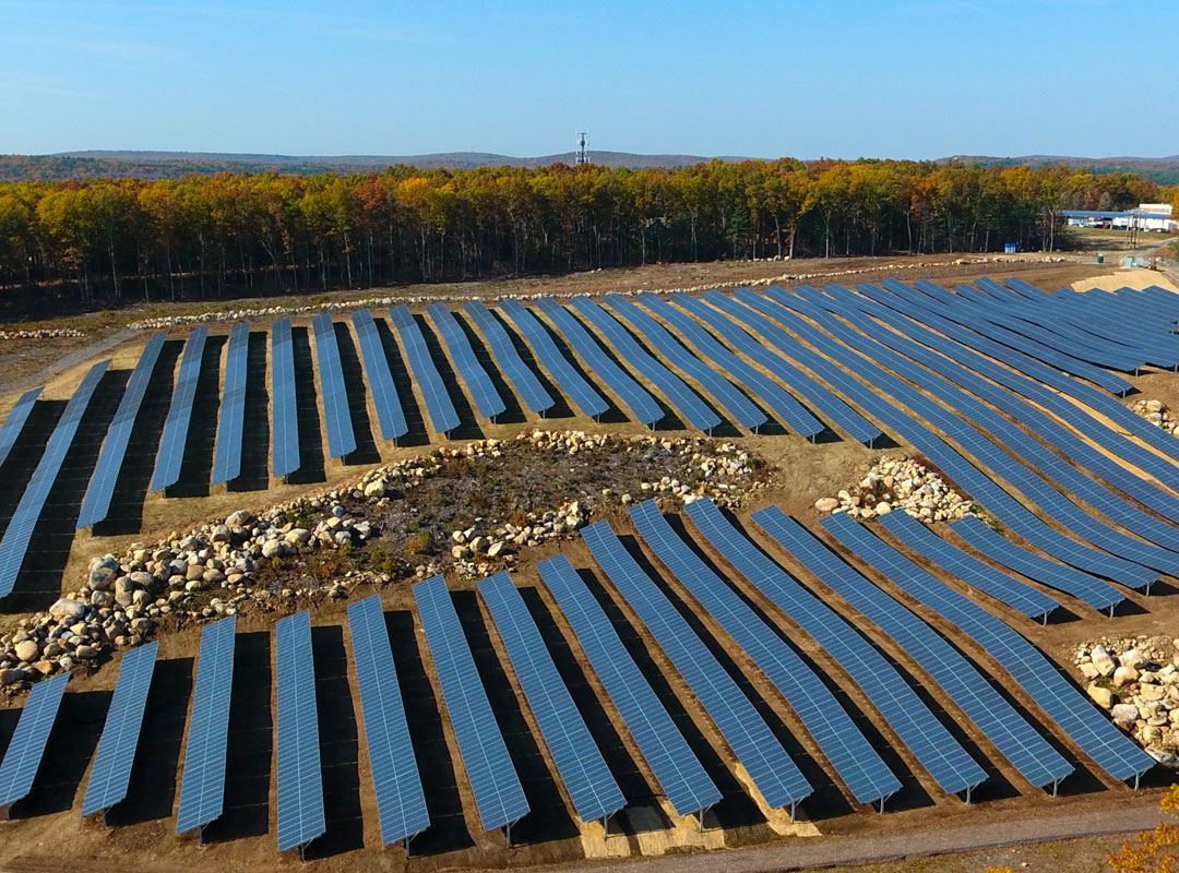 Stafford Solar Field 2