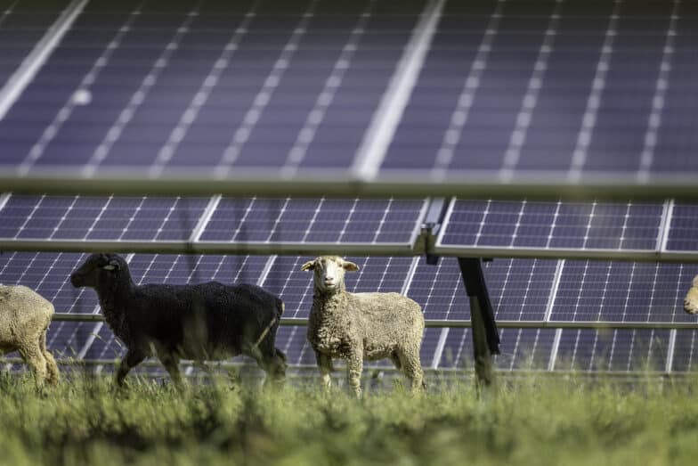Pennsville Solar Project